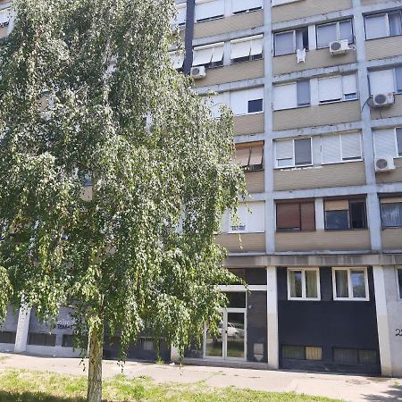 Ferienwohnung Blue Danube Belgrad Exterior foto