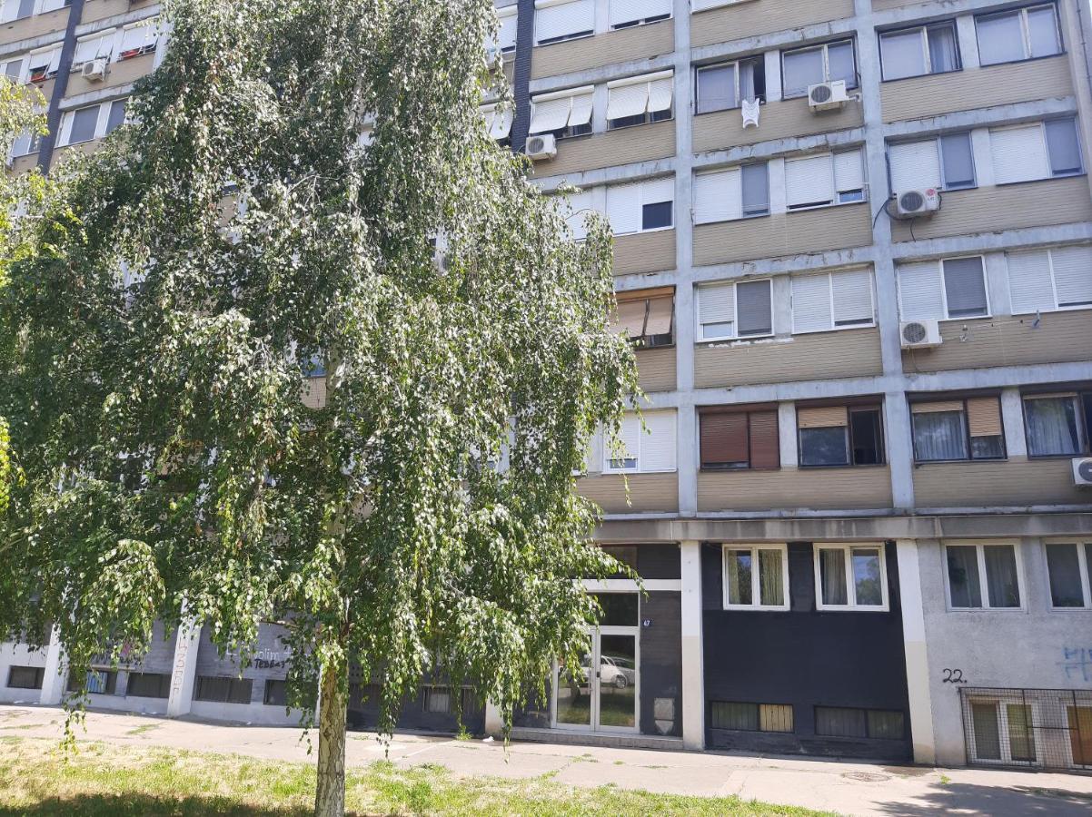 Ferienwohnung Blue Danube Belgrad Exterior foto